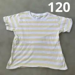 120サイズ 黄色と白のストライプ Tシャツのサムネイル