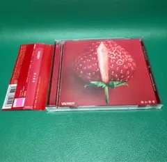 ■ VAUNDY 4曲入CD「裸の勇者」■バウンディ 二人話 HERO おもかげ