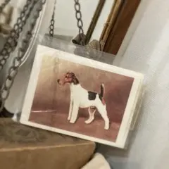 2025年最新】フォックステリアの人気アイテム - メルカリ