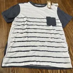 Item thumbnail for item 0a8470cf-e078-4457-a748-76894da98c68