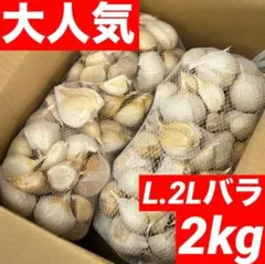 ろんりーたなか様専用】北海道産じゃがいも（さやか） 2Lサイズ40kg