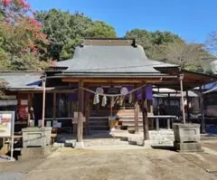 Stein様 リクエスト 4点 まとめ商品