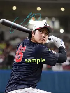 A4サイズ　大谷翔平　WBC 2026 フォト　写真　ポートレート