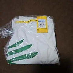 Item thumbnail for item b76507ce-a83f-4fb7-bffd-8d6dd4cc6c3b