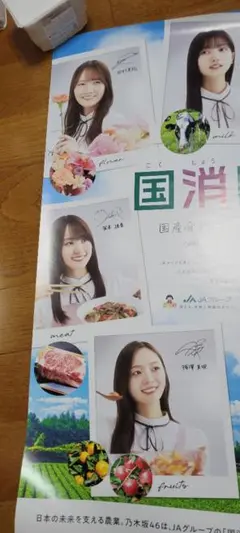乃木坂46 - 乃木坂46&amp;欅坂46 ポスターまとめ売り 乃木坂46 川端晃菜 Same numbers 会場特典 ランダム個別ポスター