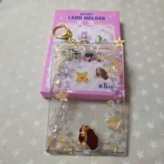 ディズニーストア シークレットカードホルダー レディ