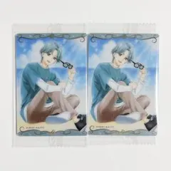 プリキュア ウエハース 響カイト 2枚セット