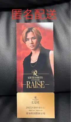 匿名配送　堂本光一 RAISE 会場限定 メモリアルチケット　非売品