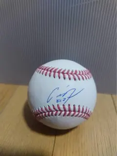 2025年最新】鈴木誠也 サインボールの人気アイテム - メルカリ