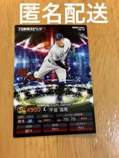 プロ野球チップス カード 平良海馬