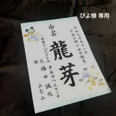 ぴよ様専用★ディズニー 命名書