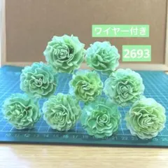 ソラフラワー　2693