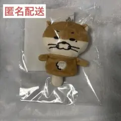 BOYNEXTDOOR BBNEXDO プネクド ダーリン - メルカリ
