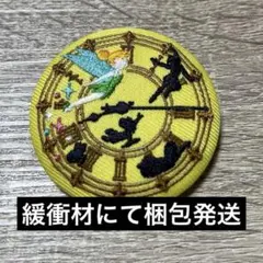ディズニー 刺繍缶バッジ ビスケット2 ティンカーベル ピーターパン
