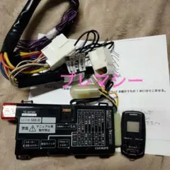 Item thumbnail for item 8d65fac8-fad1-4d56-9e2c-61ff68ea662a