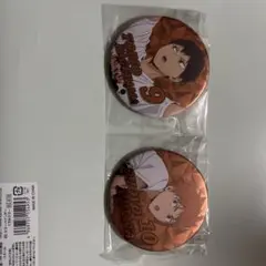 ハイキュー!! ピンバッジ 2個セット