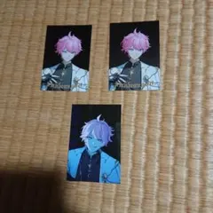 Crazy Raccoon フランシスコ