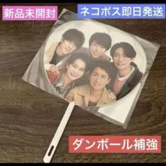 嵐 We are ARASHI 2026 ミニうちわ 集合　ライブグッズ　ラスト