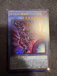 最終値下げ】黒き混沌の魔術師ブラック・カオス シークレット - メルカリ