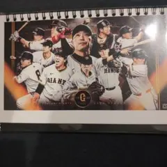 Item thumbnail for item ddaf7847-0db7-4035-b793-372f65bd194e