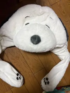 USJ スヌーピーカチューシャ　被り物