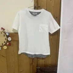 Item thumbnail for item 5880ca7a-7a6e-46c9-948c-11c49113c5a3