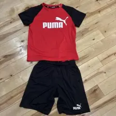 PUMA Tシャツとショーツセット 140