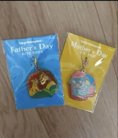 非売品⭐︎ ディズニーチャーム