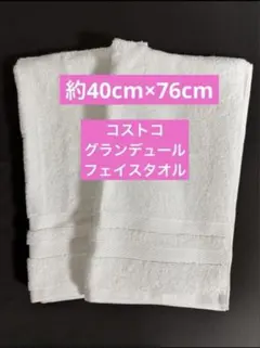 Item thumbnail for item 944dfd28-97c2-423f-972d-60292c2984e8