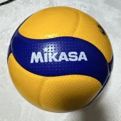 4号 バレーボール