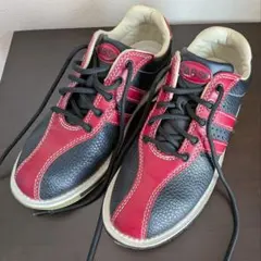 Item thumbnail for item 5c1773cc-e98d-4459-8557-70ab53d3d40b