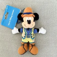 ディズニーシー　ミッキー グリーティングトレイル マスコット チャーム