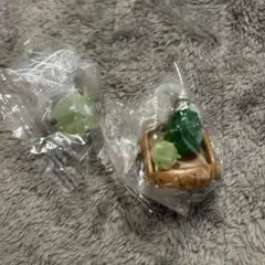 モリゾーとキッコロ めじるしアクセサリー ガチャ 2種セット