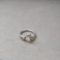 ダックスフントリング