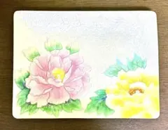 【伝統工芸】七宝焼 牡丹文様 角皿 桐箱付き 飾皿 プレート 和風インテリア