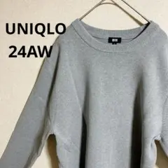 ウォッシャブルミラノリブクルーネックセーター xl