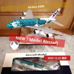 新型フライングホヌ／グリーン カイ君 約30cm 2026年最新】#新型ホヌの人気アイテム - メルカリ