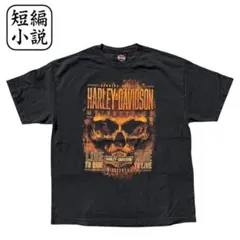 ハーレーダビッドソンTシャツ 両面プリント USA製バイカー アメカジ