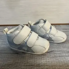 Item thumbnail for item e968a569-7a1f-4b78-823a-76f378d36e77