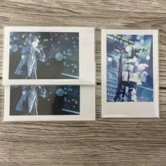 いれいす　実写チェキ　武道館　-hotoke-