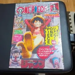 【新品未開封】ワンピースマガジン 20号 ルフィプロモ付き　シュリンク有