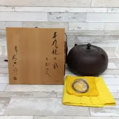 常滑焼 桜山 名工 水上清 横手急須 茶器 藻掛け 共箱/茶こし付き 煎茶