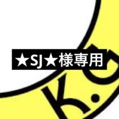 ★SJ★様専用