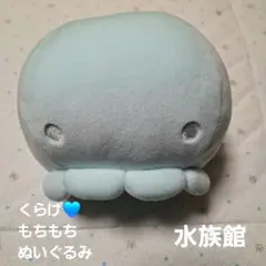 新江ノ島水族館　えのすい　くらげ　もっちり　もちもち　　ぬいぐるみ　くじ