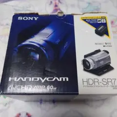 2026年最新】hdr-sr8の人気アイテム - メルカリ