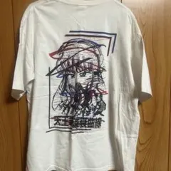 PK shampoo 天王寺減衰曲線 Tシャツ Mサイズ