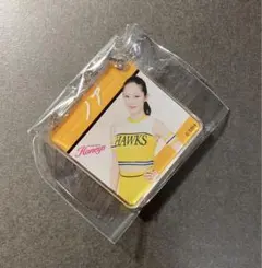 Item thumbnail for item 0495e28c-508e-4bcb-928e-659569f165a8