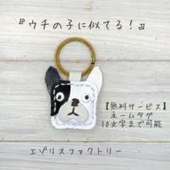 【KK262】#カクフレ#レザー#フレンチブルドッグ#ボストンテリア#犬
