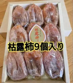 Item thumbnail for item 02b53e20-56ca-4207-8849-657b5178f13d