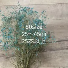 カスミソウ/カスミソウドライフラワー/水色カスミソウ/霞草/ドライフラワー